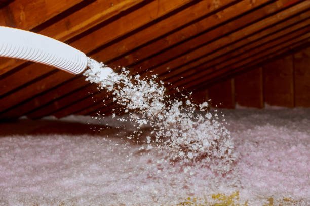 Best Geographic-Specific Insulation Services in Holly Lake Ranch, TX