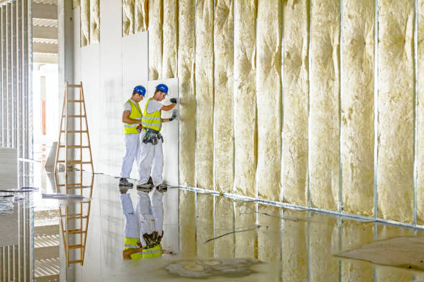 Best Energy Efficiency Insulation in Holly Lake Ranch, TX
